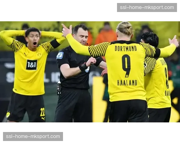 观点：VAR介入过多？解析三月德甲多起争议判罚的尺度问题