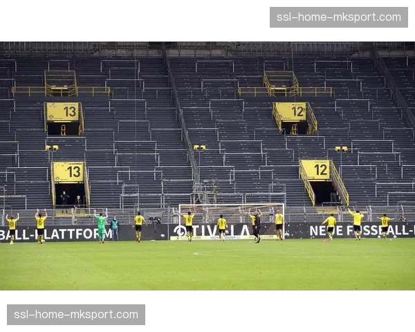 多特蒙德南看台面临改造，欧足联站席新规要求安装防冲撞护栏